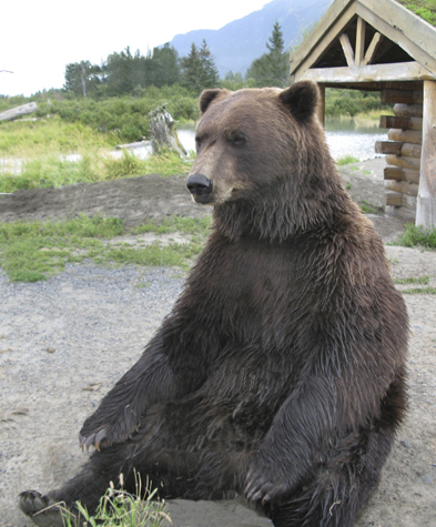 Melanie Heinrich Images - Alaska